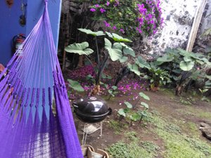Habitación y suite