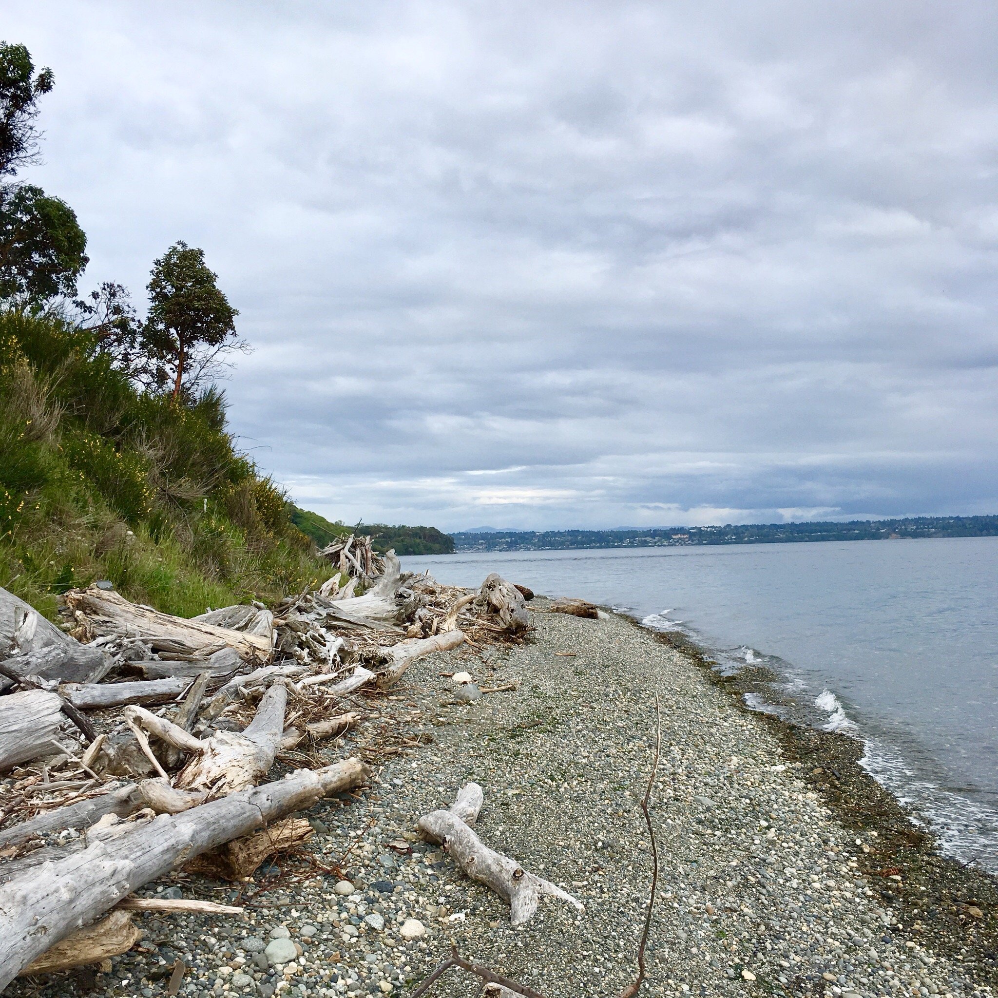 MAURY ISLAND MARINE PARK (Vashon) - All You Need To Know BEFORE You Go ...