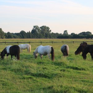 egyetlen túra schleswig- holstein