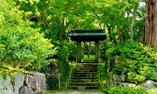 茶の庭入口
