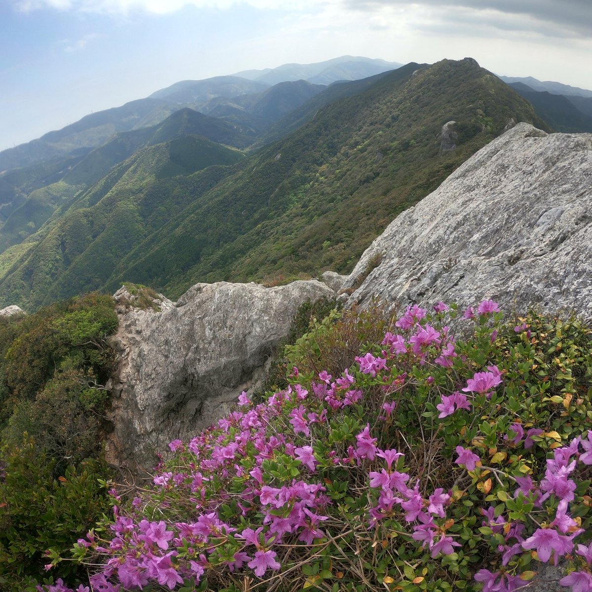 SHIRATAKE (Tsushima) - All You Need to Know BEFORE You Go