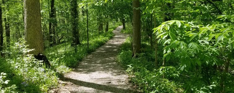 Great walking trails,  and beautiful scenery.