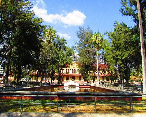 Las 10 cosas que hacer más populares en Aguascalientes con niños – Actividades para toda la familia en Aguascalientes, México | Tripadvisor Las 10 cosas que hacer más populares en Aguascalientes con niños – Actividades para toda la familia en Aguascalientes, México | Tripadvisor