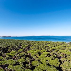 27 ettari di pineta rigogliosa e fitto sottobosco, ospitano mobile home, caravan & camper