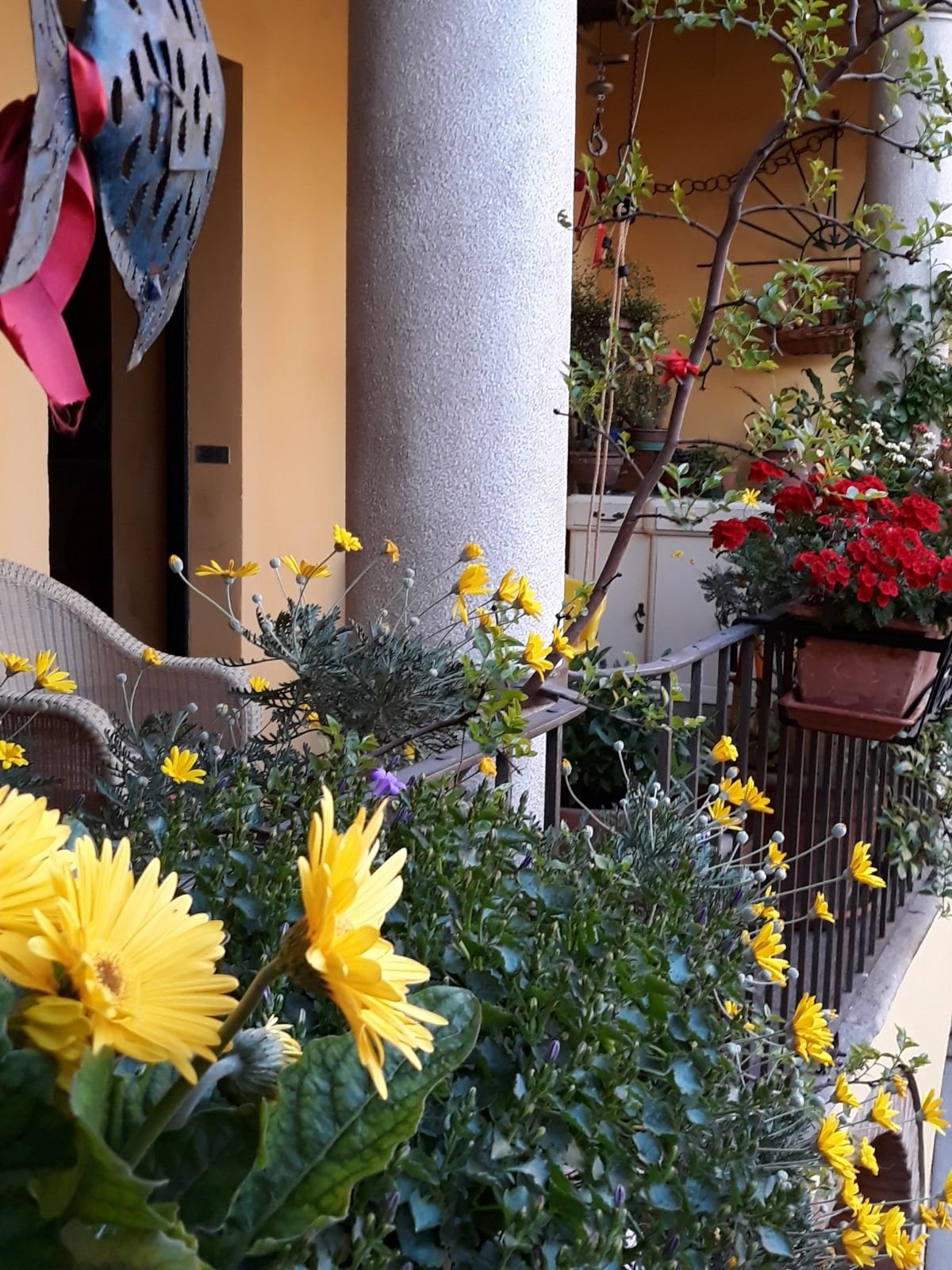 B&B MILLE - Specialty B&B Reviews (Cremona, Italy)