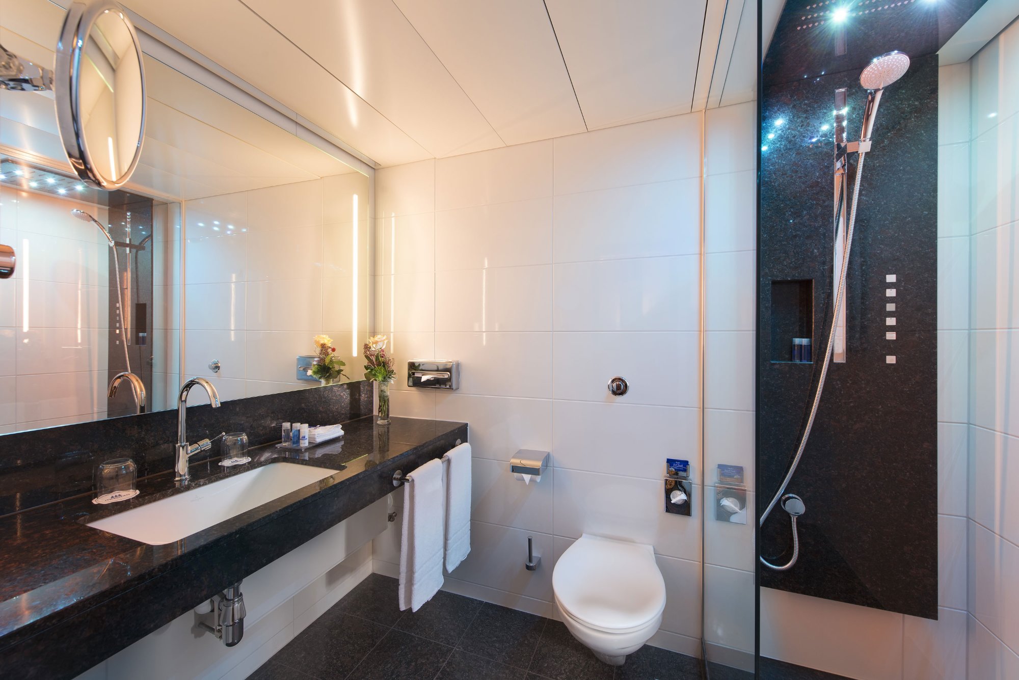 Hotel photo 14 of Maritim Hotel Stuttgart.
