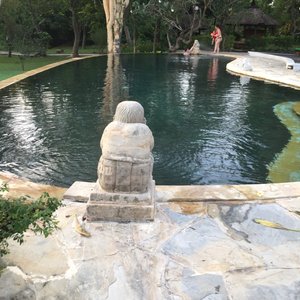 Piscine 1