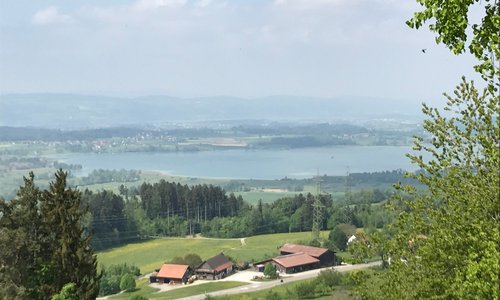 Aussicht auf Pfäffikersee