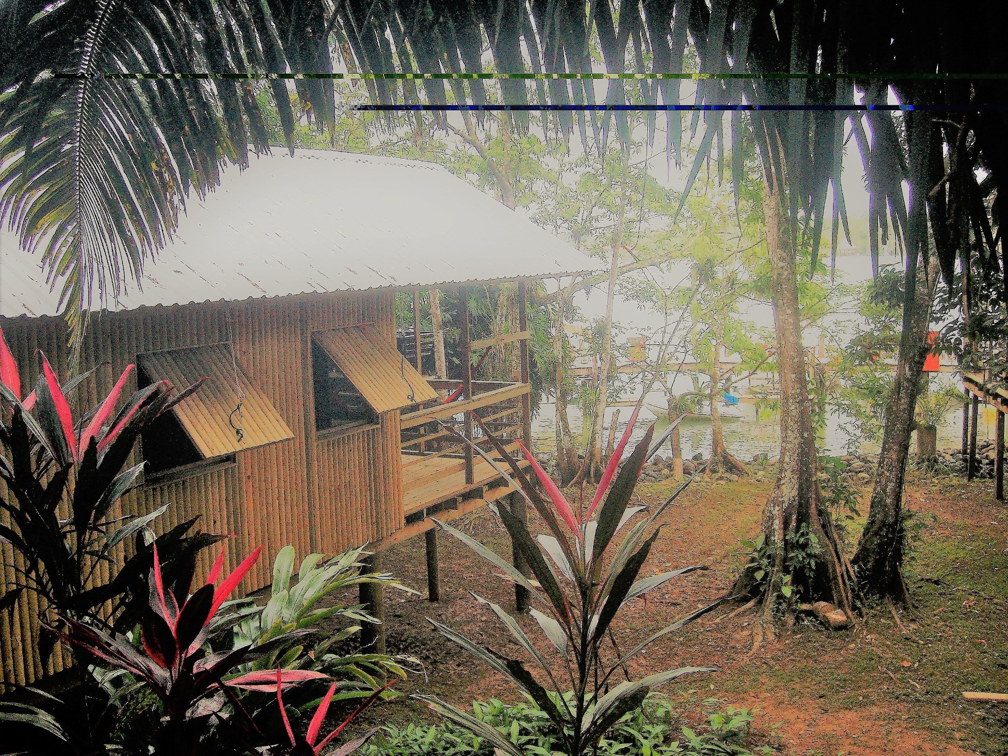 Hotel photo 14 of Tortugal Boutique River Lodge.