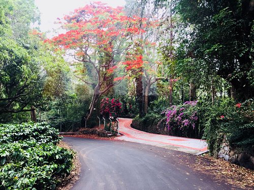 yercaud nearby tourist places