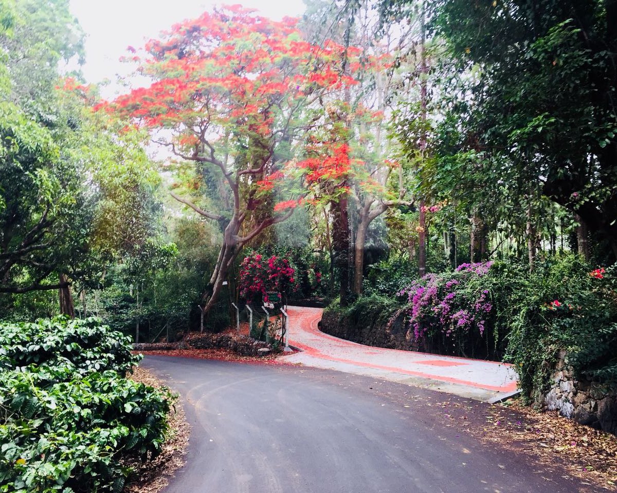 32-km-loop-road-yercaud-atualizado-2022-o-que-saber-antes-de-ir