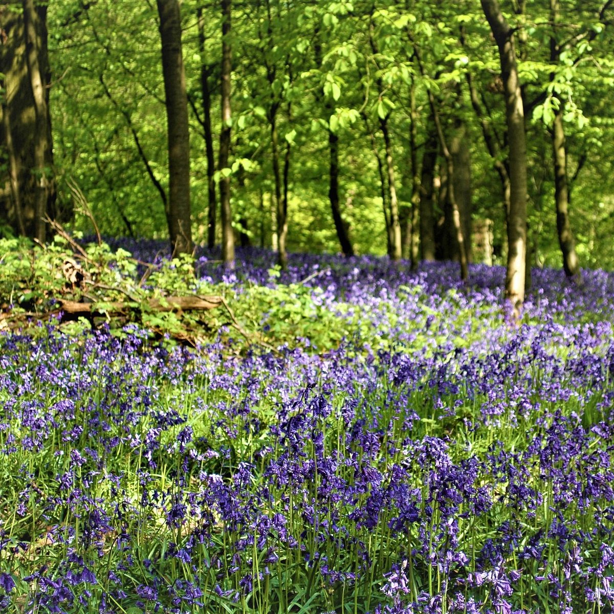 Natural reserve. Nature Reserve.