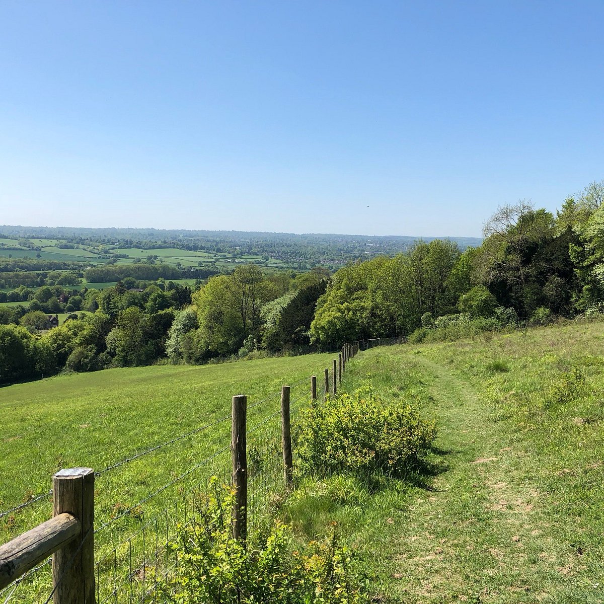 KEMSING DOWN NATURE RESERVE Ce qu'il faut savoir