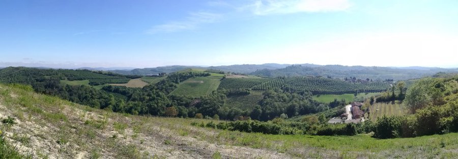 panorama