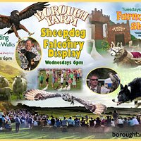 Borough Farm Sheepdog Shows