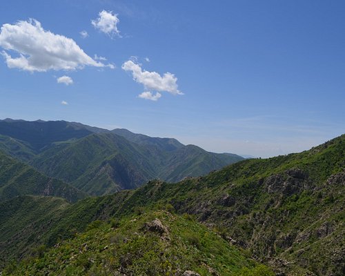 Луковые горы на территории Таджикистана и Китая ответ