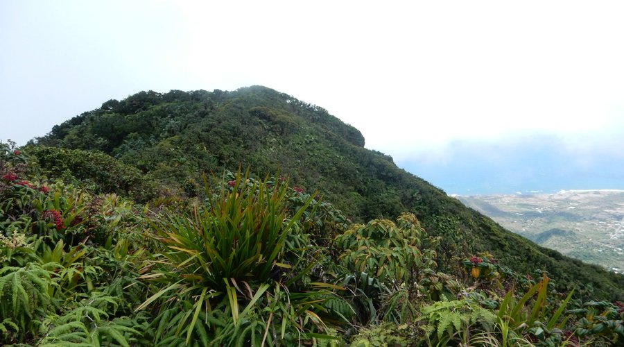 View of highest point on Nevis Peak