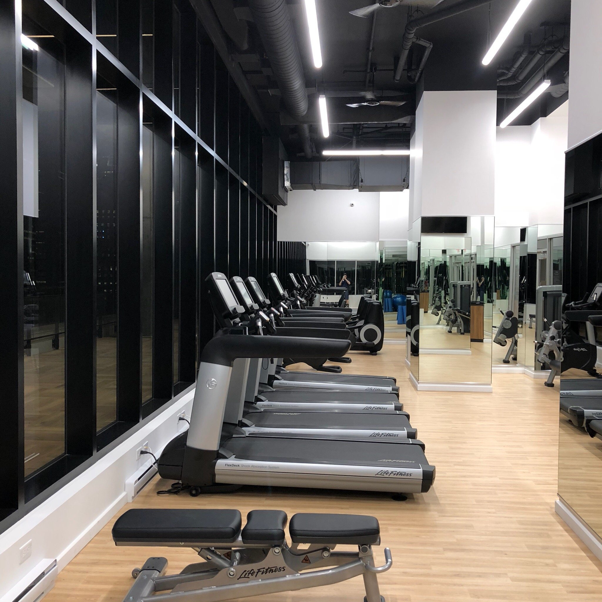 Hôtel Ac Montréal Centre-ville 수영장 사진 및 리뷰 - 트립어드바이저