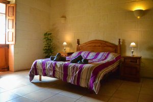 Room & Suite