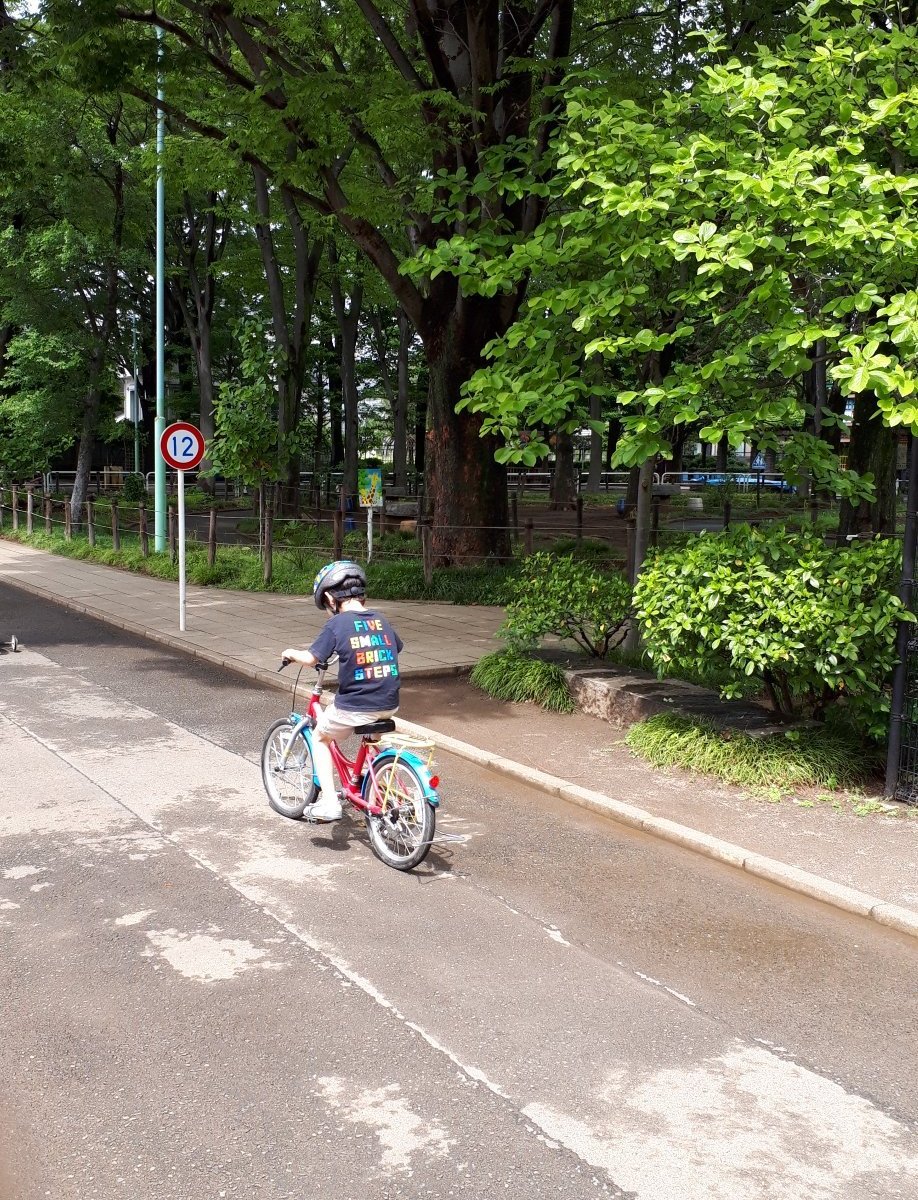 21年 大泉交通公園 行く前に 見どころをチェック トリップアドバイザー