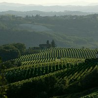 La Scolca