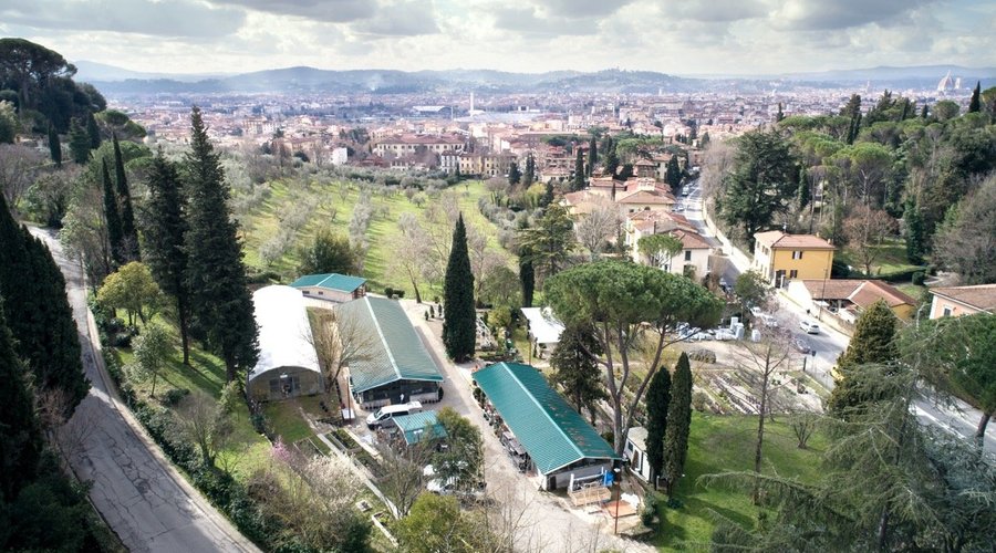 north drone view
