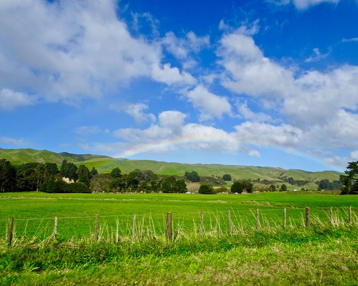 CWMGLYN FARM (Eketahuna) All You Need to Know