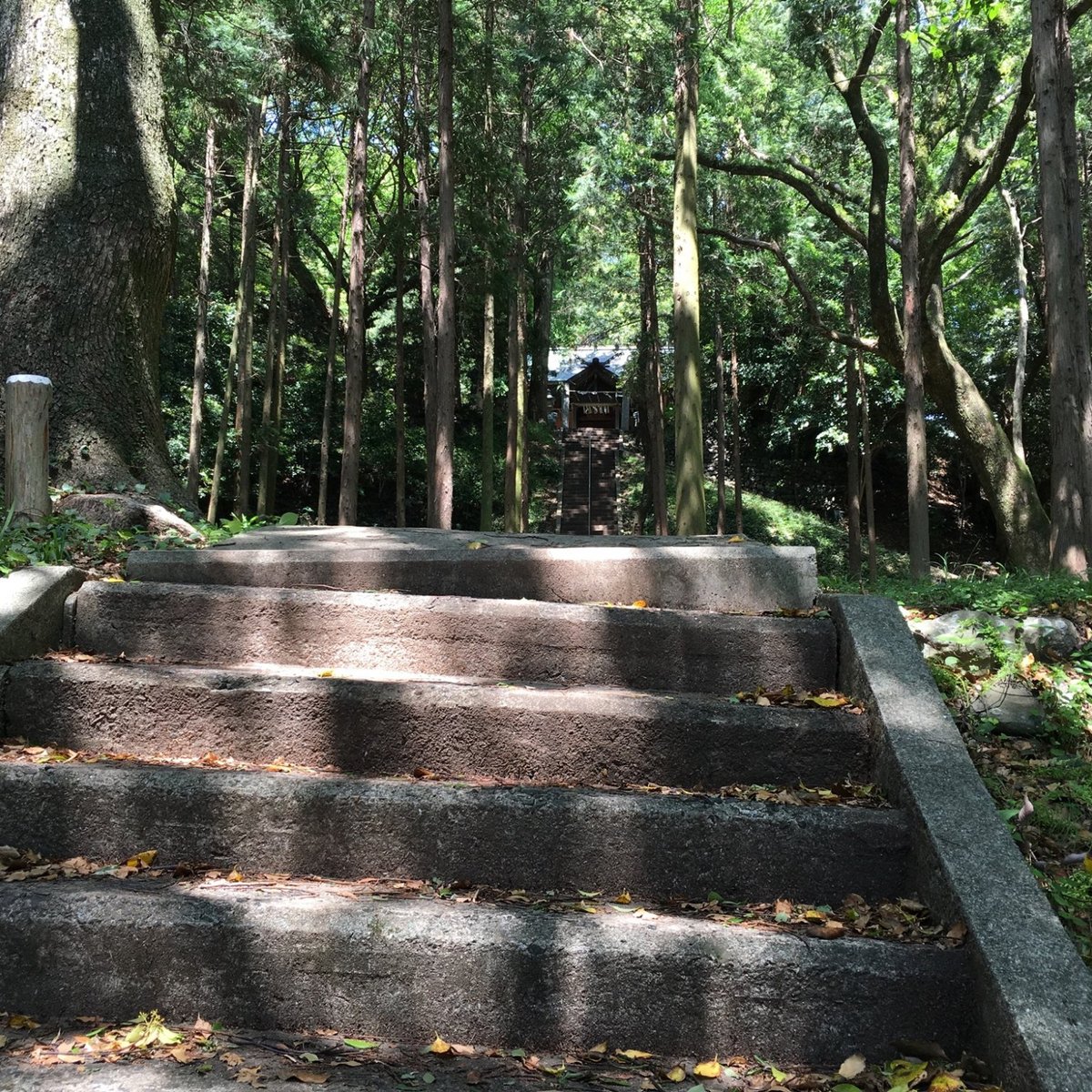 Kumano Shrine (Fukuoka) Was Sie wissen MÜSSEN (2025)