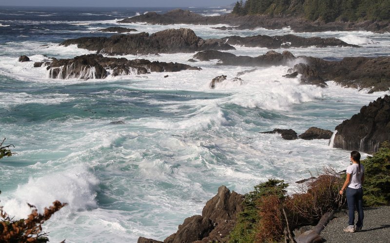 THE 15 BEST Things to Do in Ucluelet - UPDATED 2021 - Must See