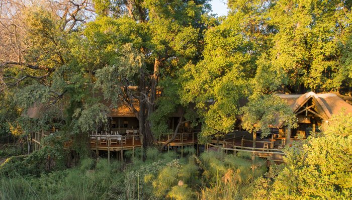 CAMP MOREMI - Updated 2024 Lodge Reviews (Moremi Game Reserve, Botswana)