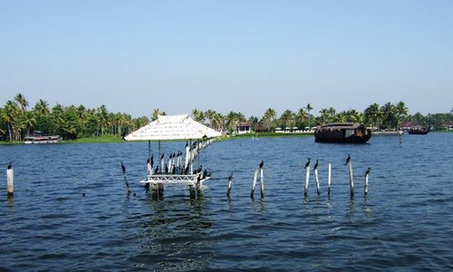 Kumarakom Bird Sanctuary