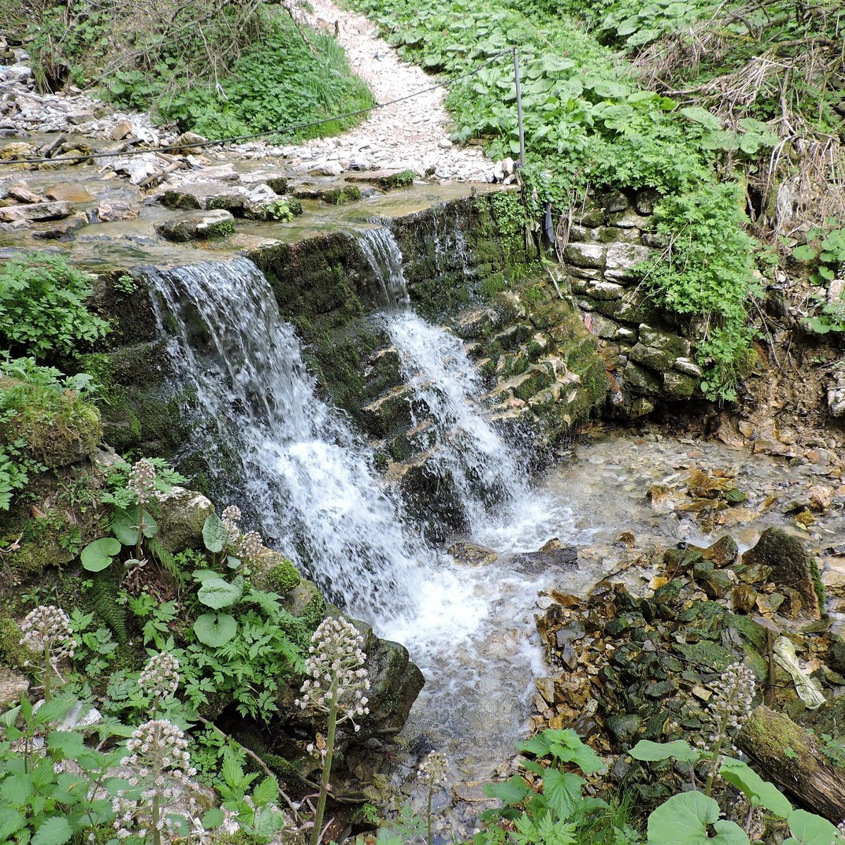 Valle dei Mulini, Gallio: лучшие советы перед посещением - Tripadvisor