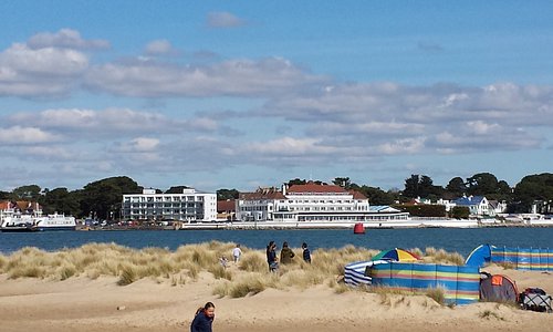 can dogs go studland beach