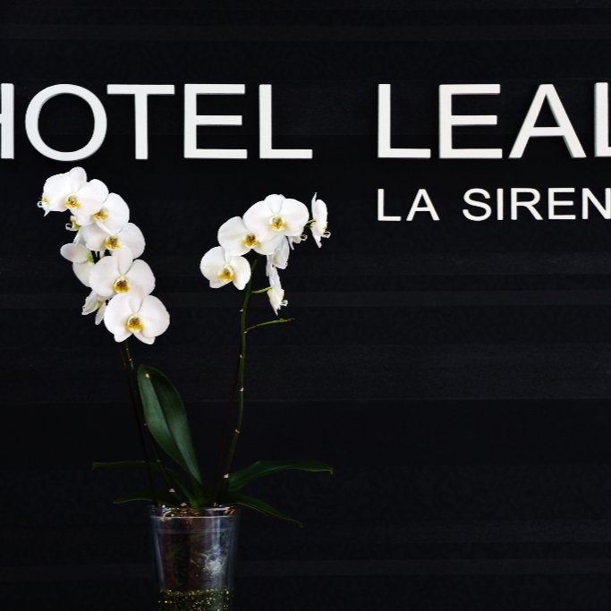 Imagen 25 de Hotel Leal - La Sirena