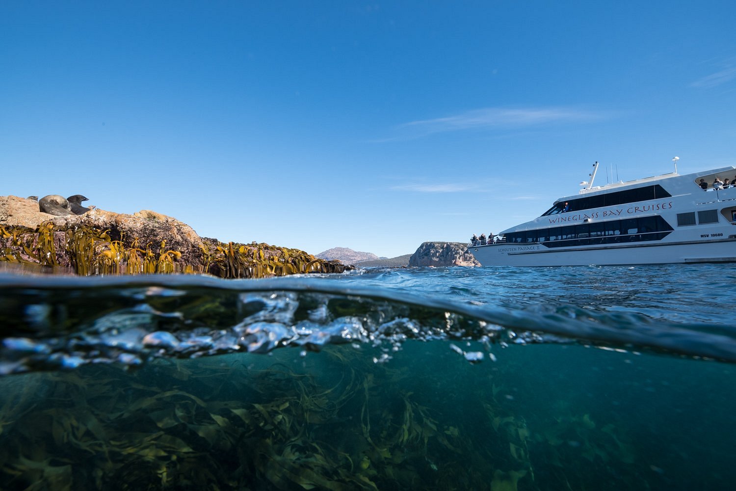 wineglass bay cruises