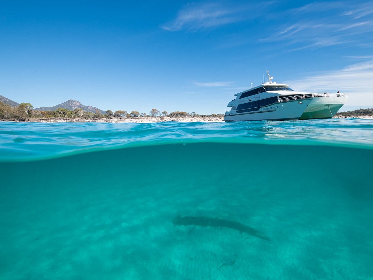 wineglass bay cruises reviews