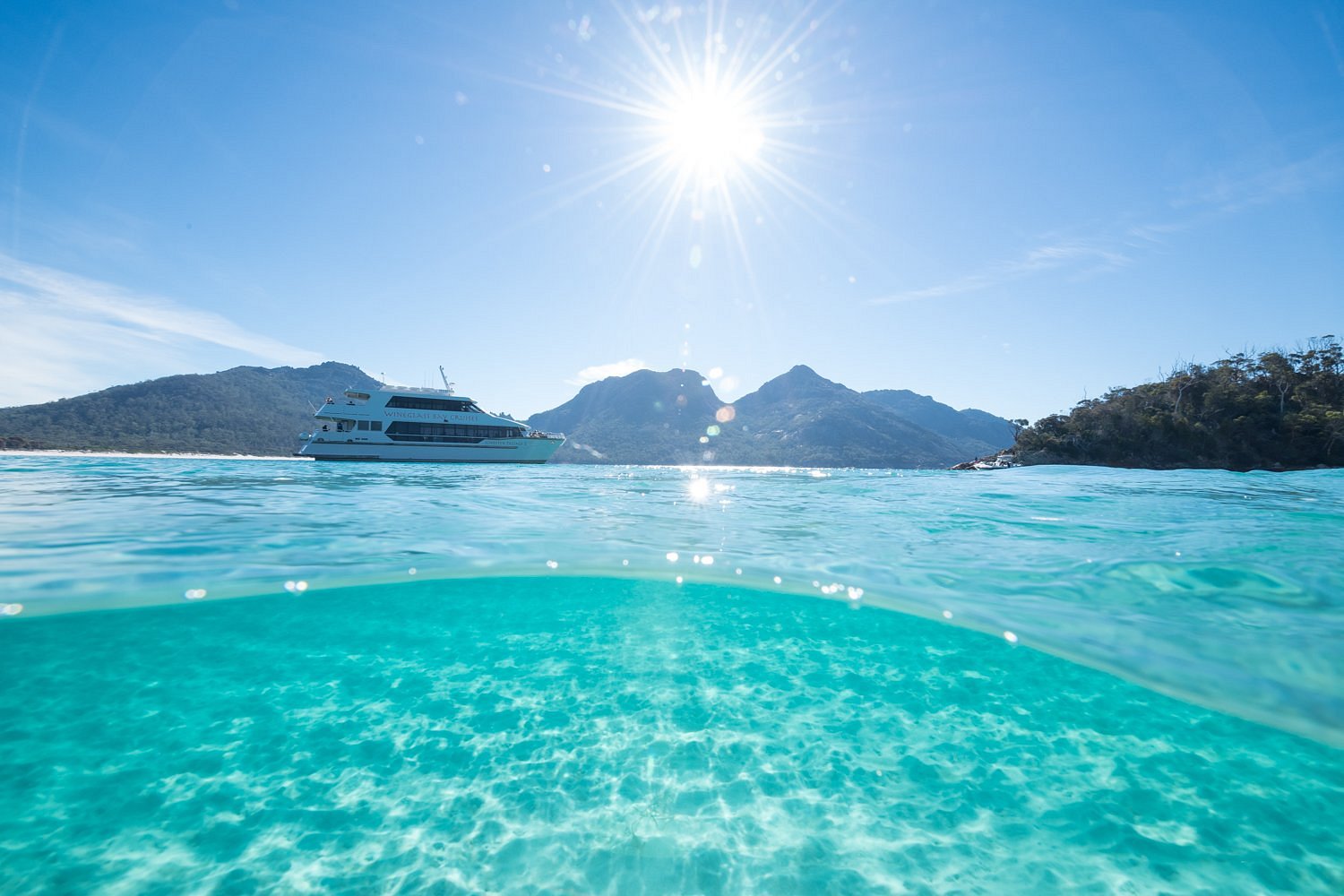 wineglass bay cruises