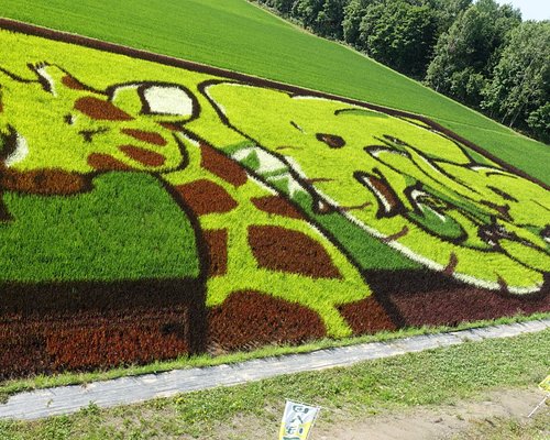 旭川市でお子様連れにおすすめの観光スポット10 選 家族で楽しめる旭川市 日本のアクティビティ トリップアドバイザー 旭川市でお子様連れにおすすめの観光スポット10 選 家族で楽しめる旭川市 日本のアクティビティ トリップアドバイザー