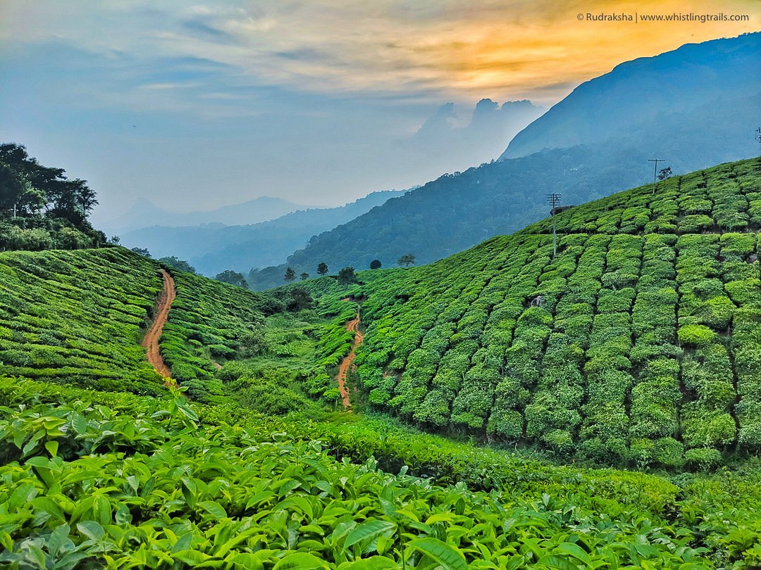 10 of the Best Things to Do in Kerala in 2023