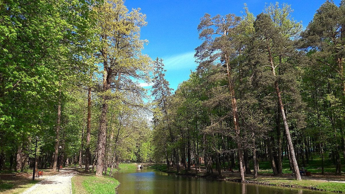 Красногорский городской парк, Красногорск: лучшие советы перед посещением -  Tripadvisor