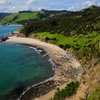 The 5 Best Free Things to do in Opononi, North Island