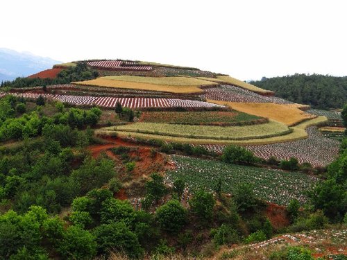Kunming AnandakumarKrishnan review images