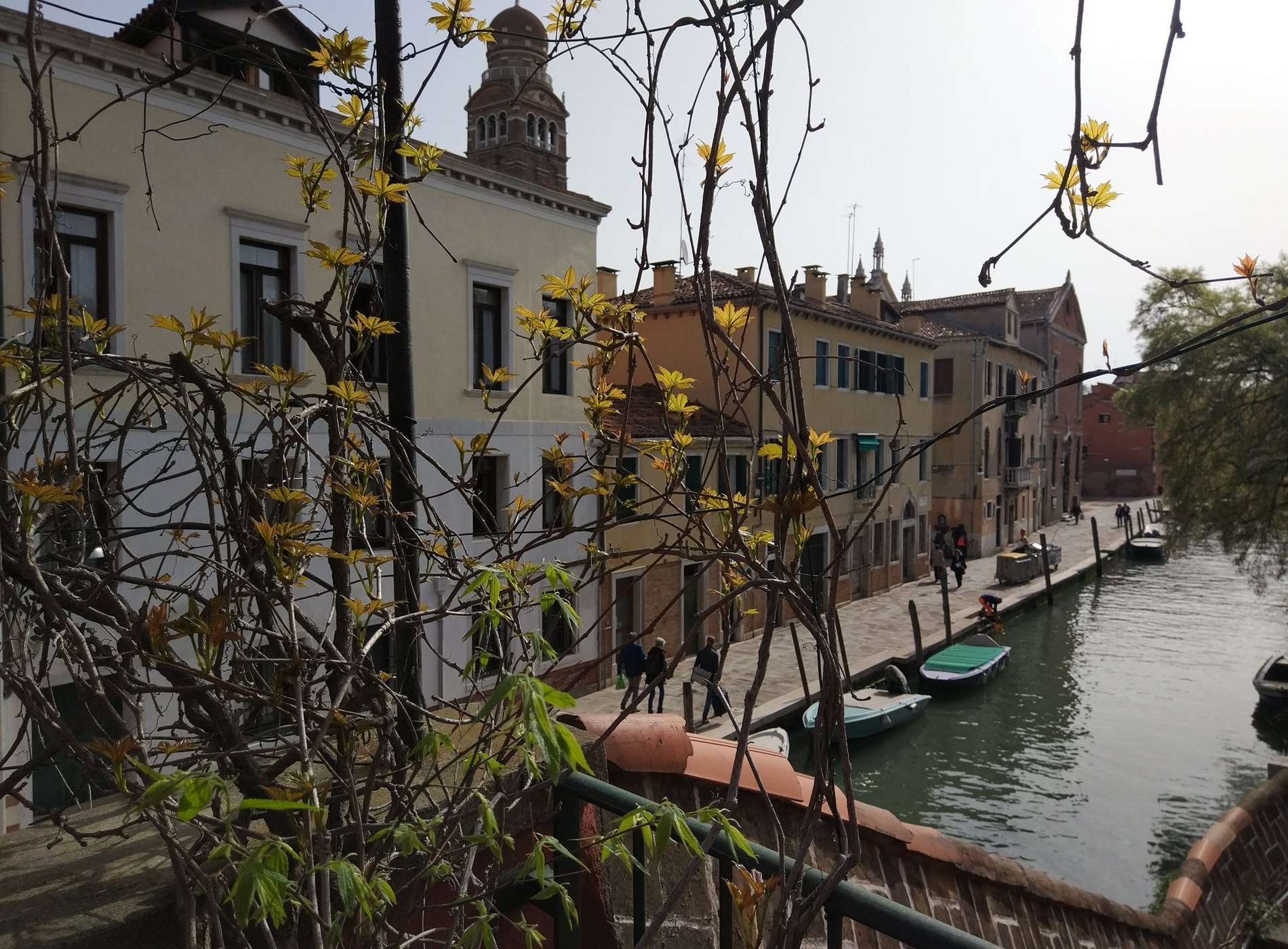 B&B Bella Venezia image