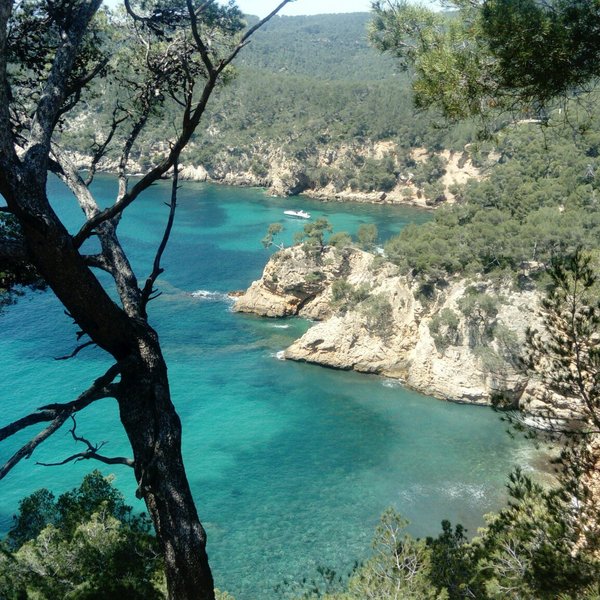 Ile de Bendor (Bandol) - All You Need to Know BEFORE You Go