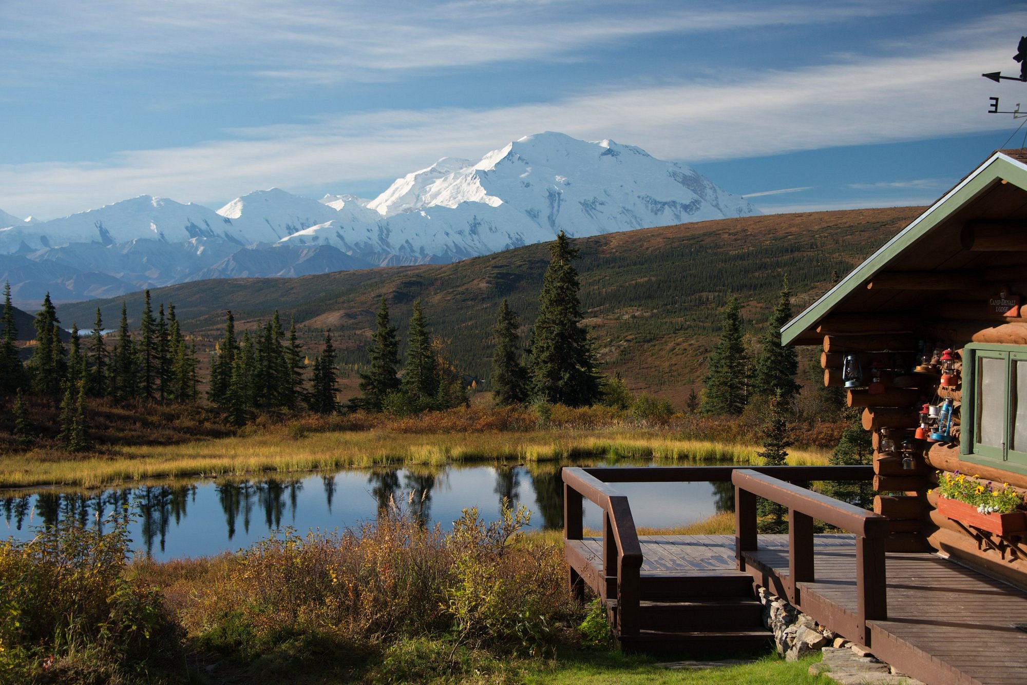 denali tourism