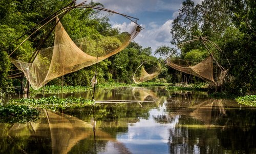 Đồng bằng sông Cửu Long: Hãy khám phá cuộc sống trôi dạt trong đồng bằng sông Cửu Long. Tận hưởng vẻ đẹp thuần khiết của các vùng đồng bằng, được bao phủ bởi cây cối xanh tươi và đầy sức sống. Những cánh đồng lúa và sông nước tràn đầy sẽ làm bạn say đắm trong không gian thiên nhiên hoang sơ.