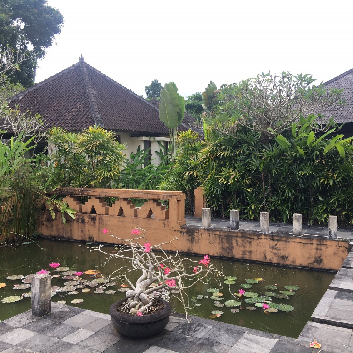 Sunset Hill Ubud Indonesia Ulasan Resor Tripadvisor