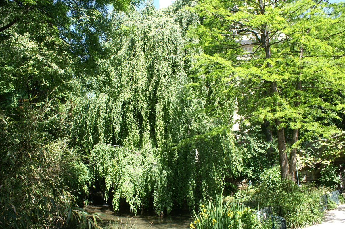 Jardin de la Nouvelle France (Paris) - All You Need to Know BEFORE You Go