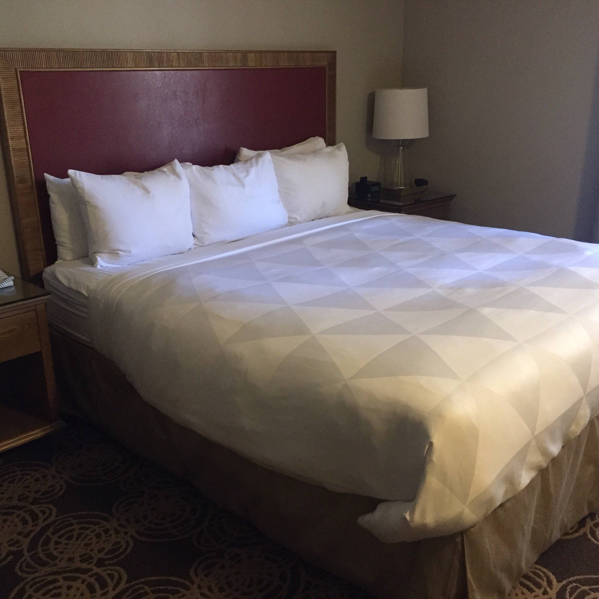 Radisson Hotel San Diego - Rancho Bernardo Rooms: Pictures & Reviews ...