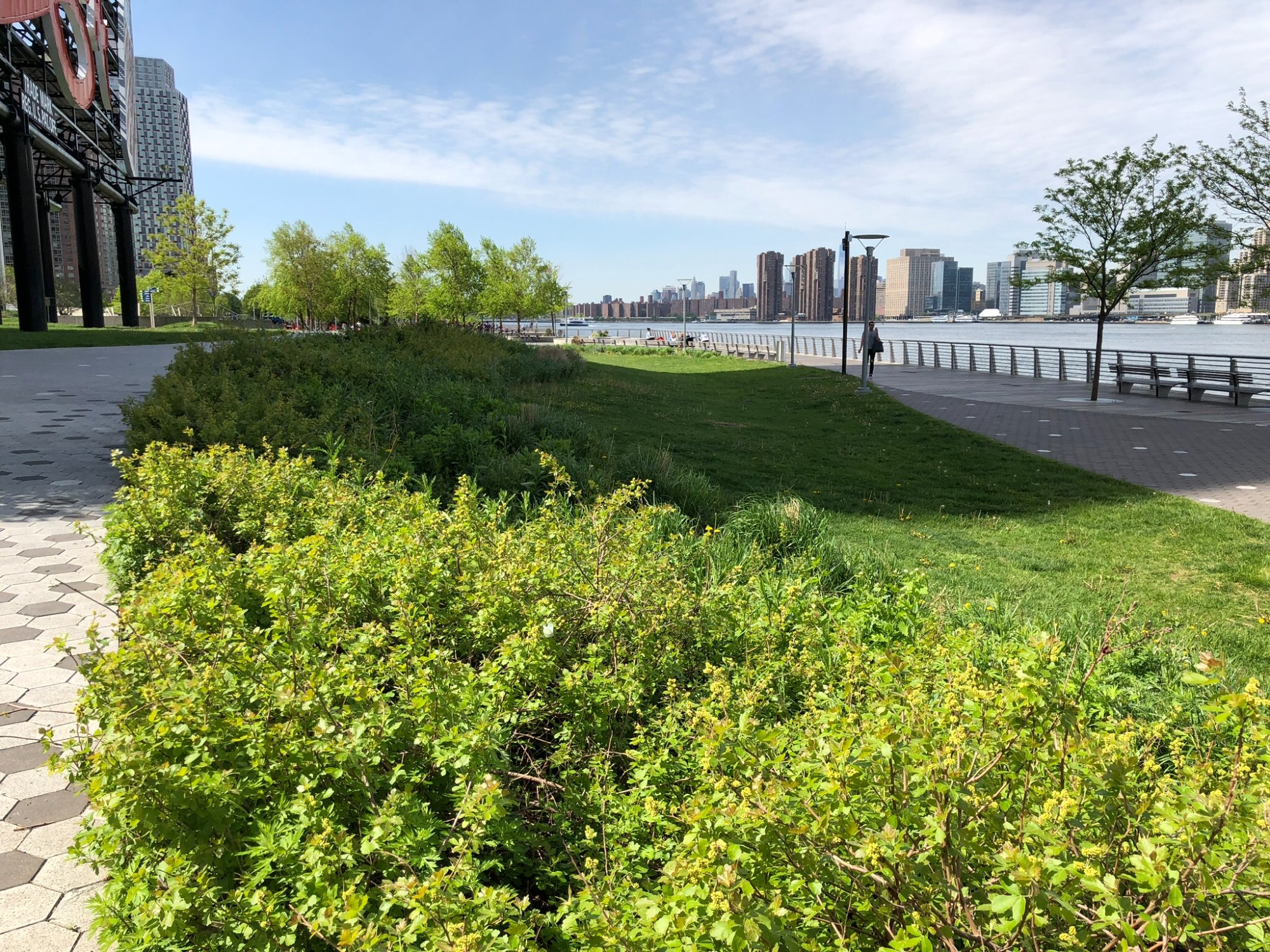 THE 10 BEST Things To Do In Queens 2024 Must See Attractions   View Down The East River 